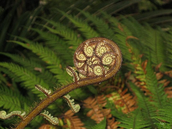 "Why did they build it that way?"